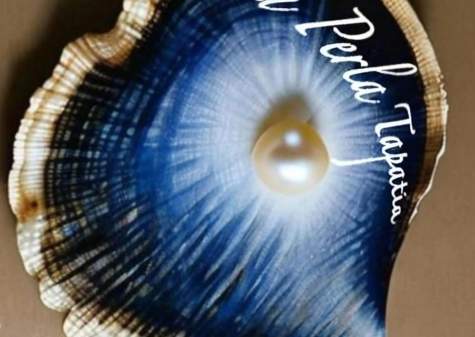 아파트 Tu Joya Y Tu Perla Tapatia - Ac, Alberca, Gym Apartamento En El Corazon De 과달라하라
